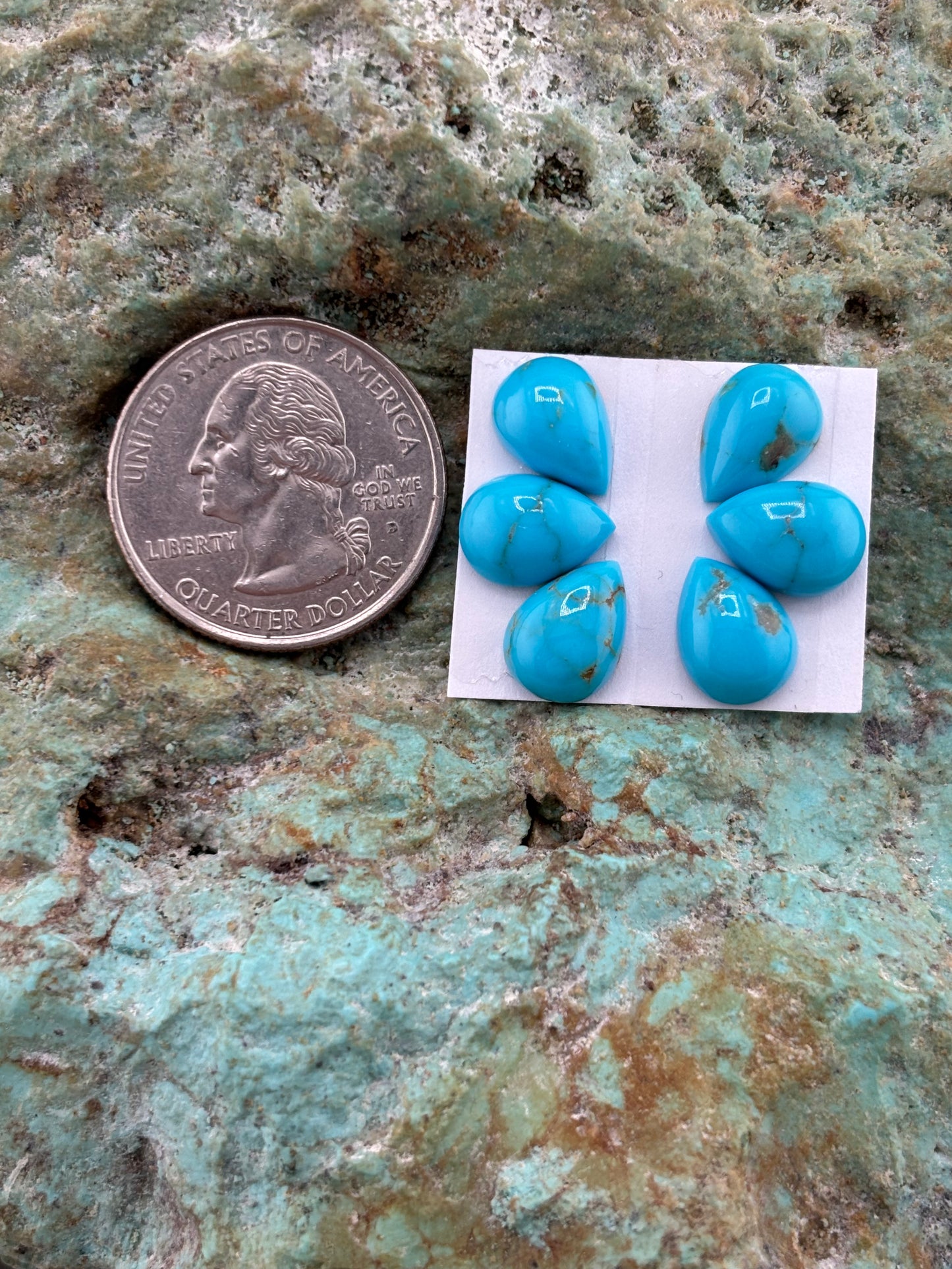 Petals 26 Calibrated Cab Set