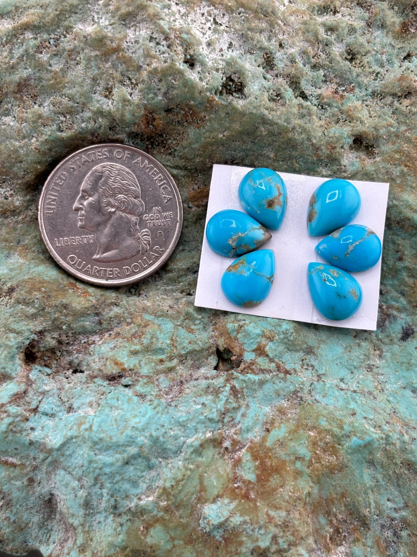 Petals 25 Calibrated Cab Set