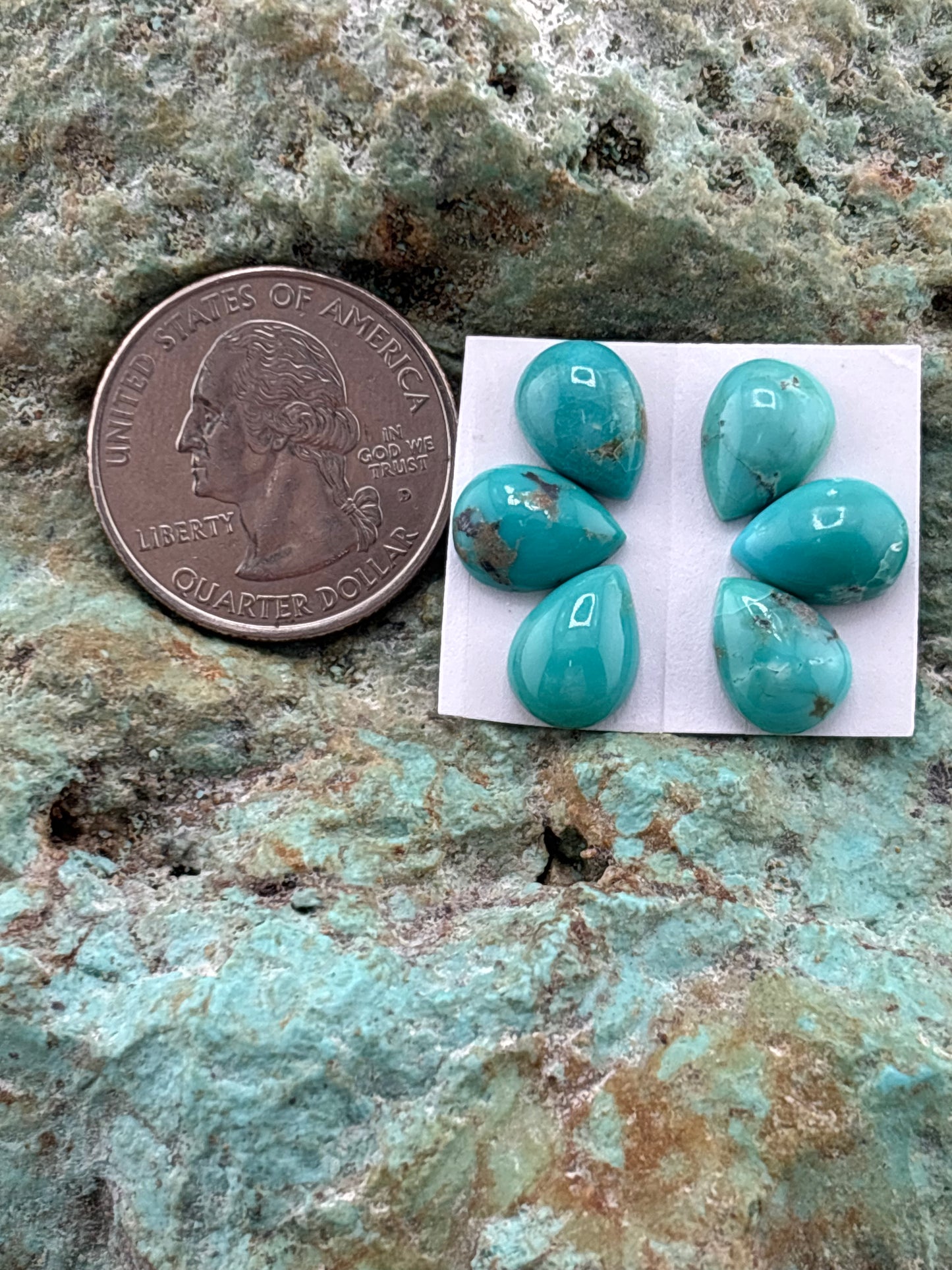 Petals 38 Calibrated Cab Set