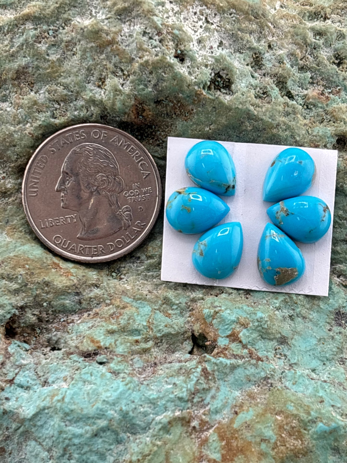 Petals 36 Calibrated Cab Set