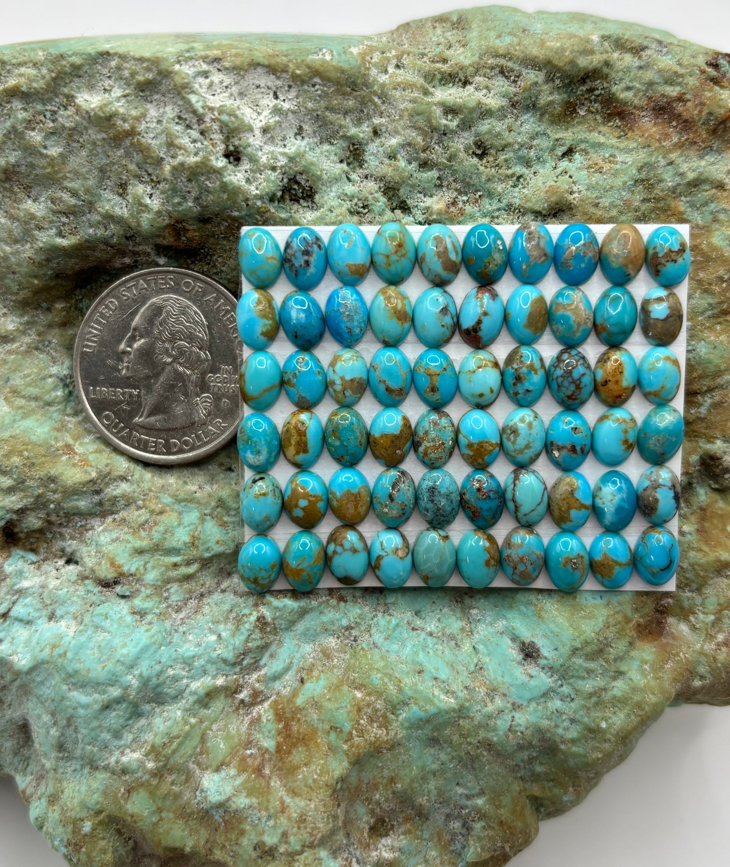5x7 Oval Calibrated Cabs