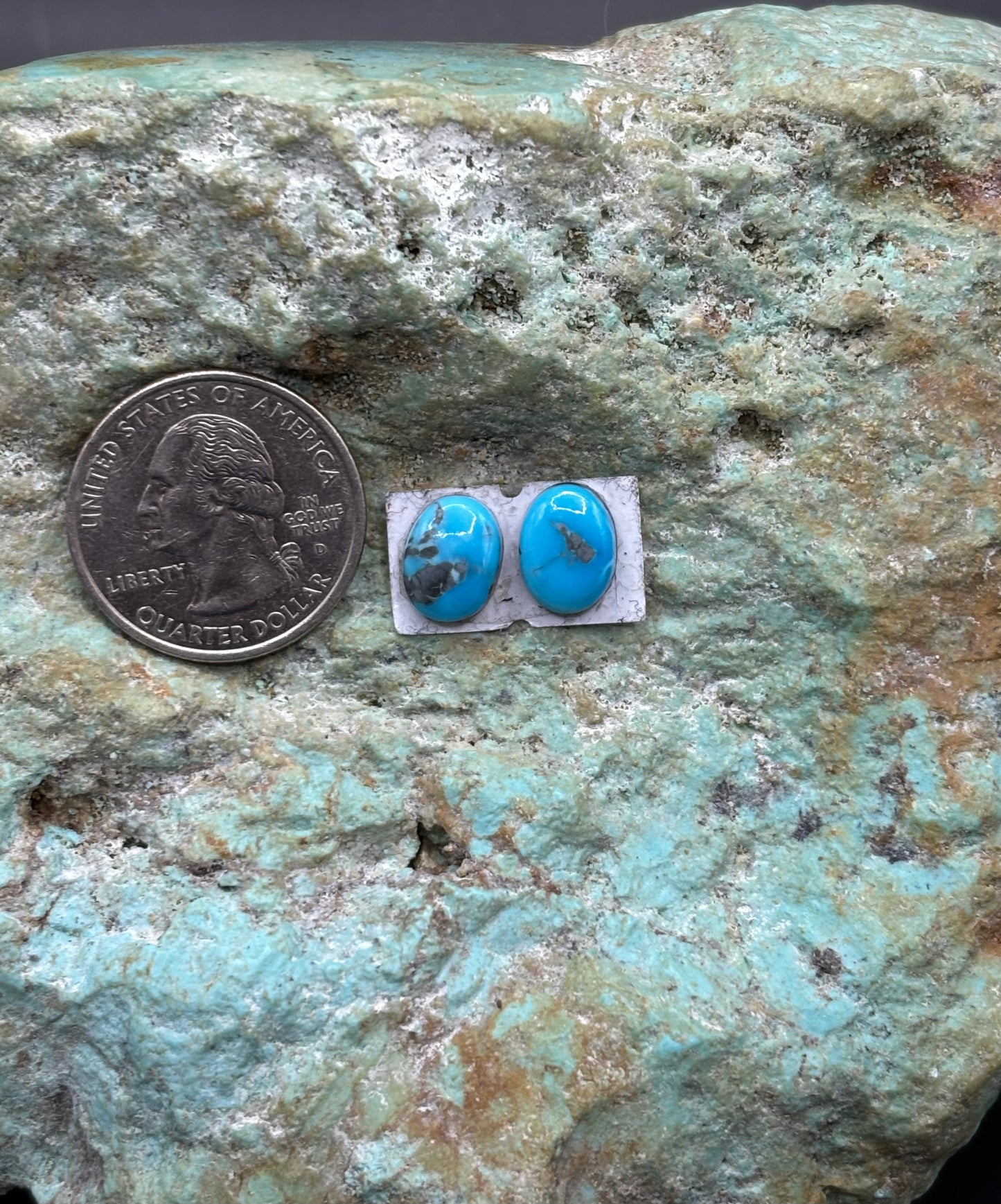 Earring Set 110