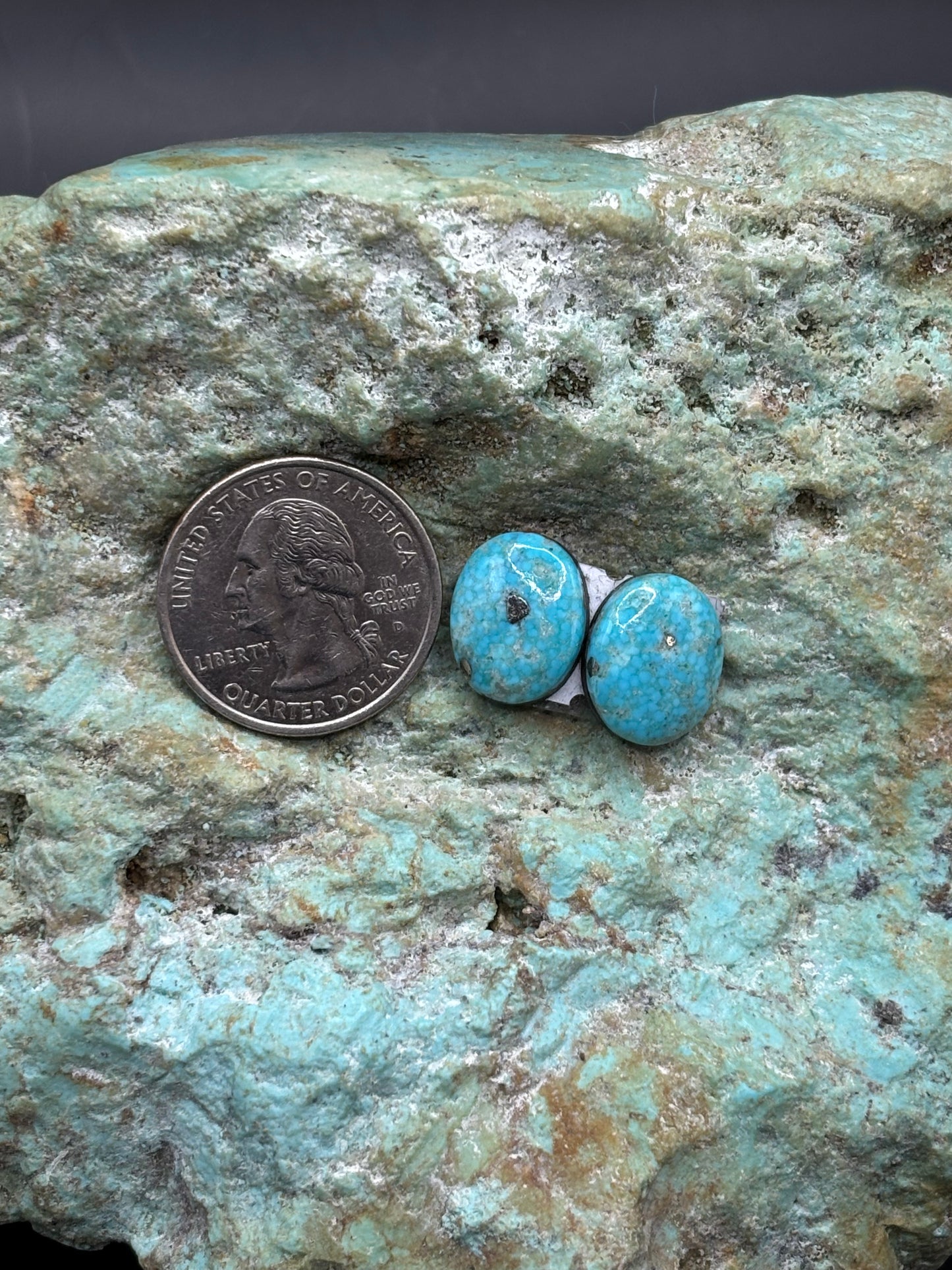 Earring Set 112