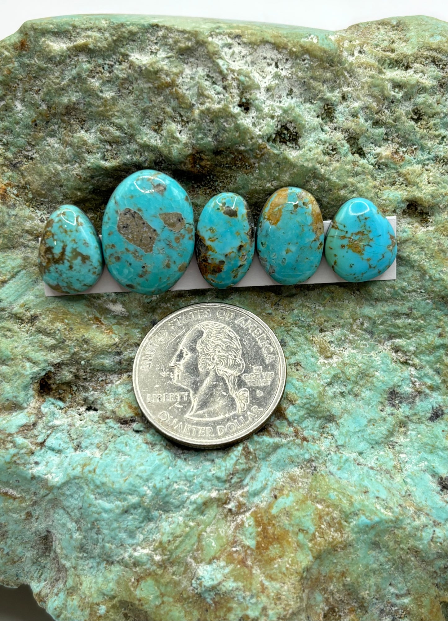 Freeform Cabochons 156