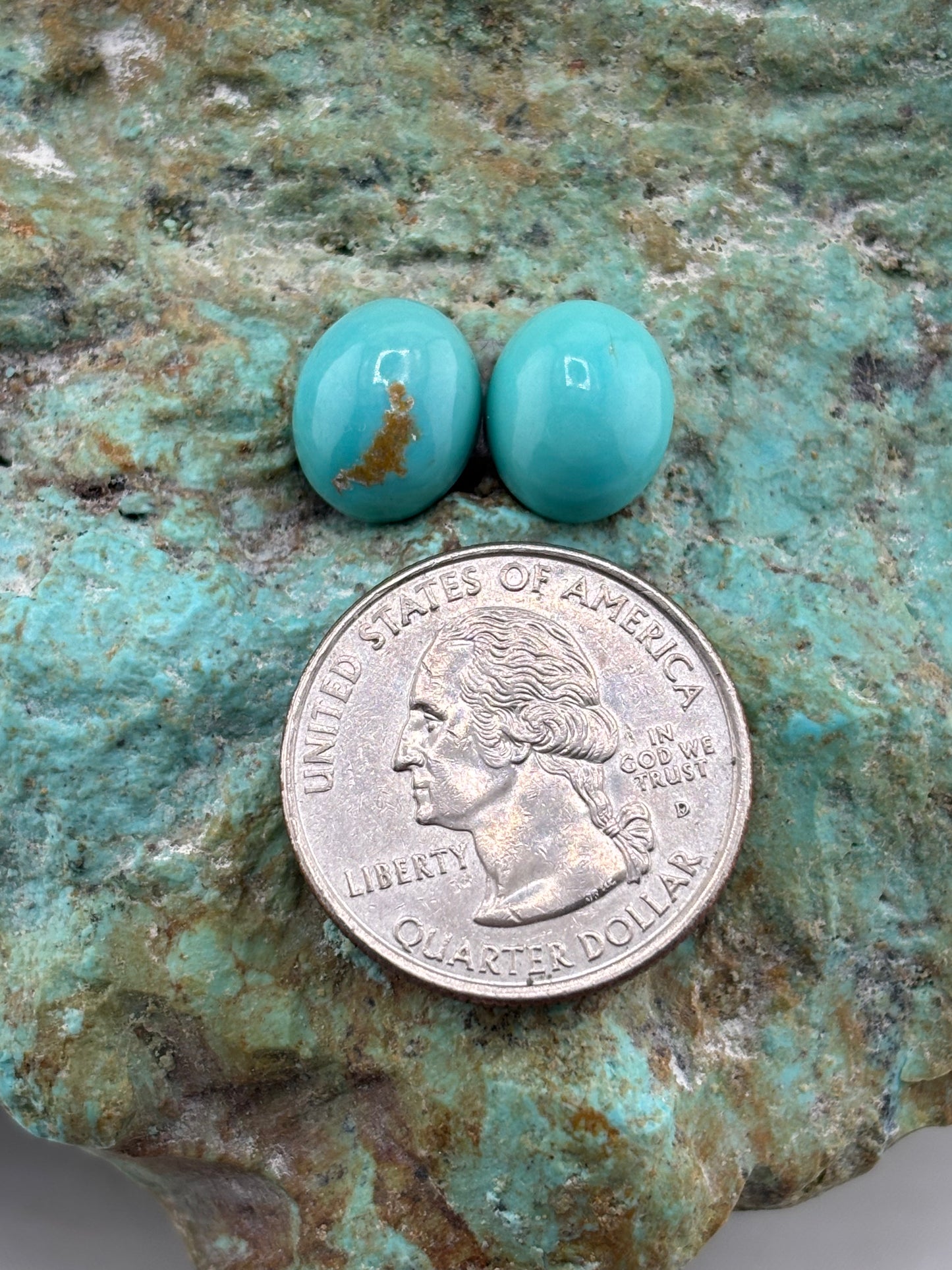 Earring Set 497