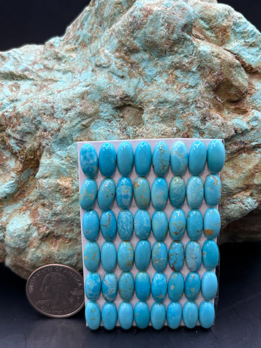 6x12 Oval Calibrated Cabs