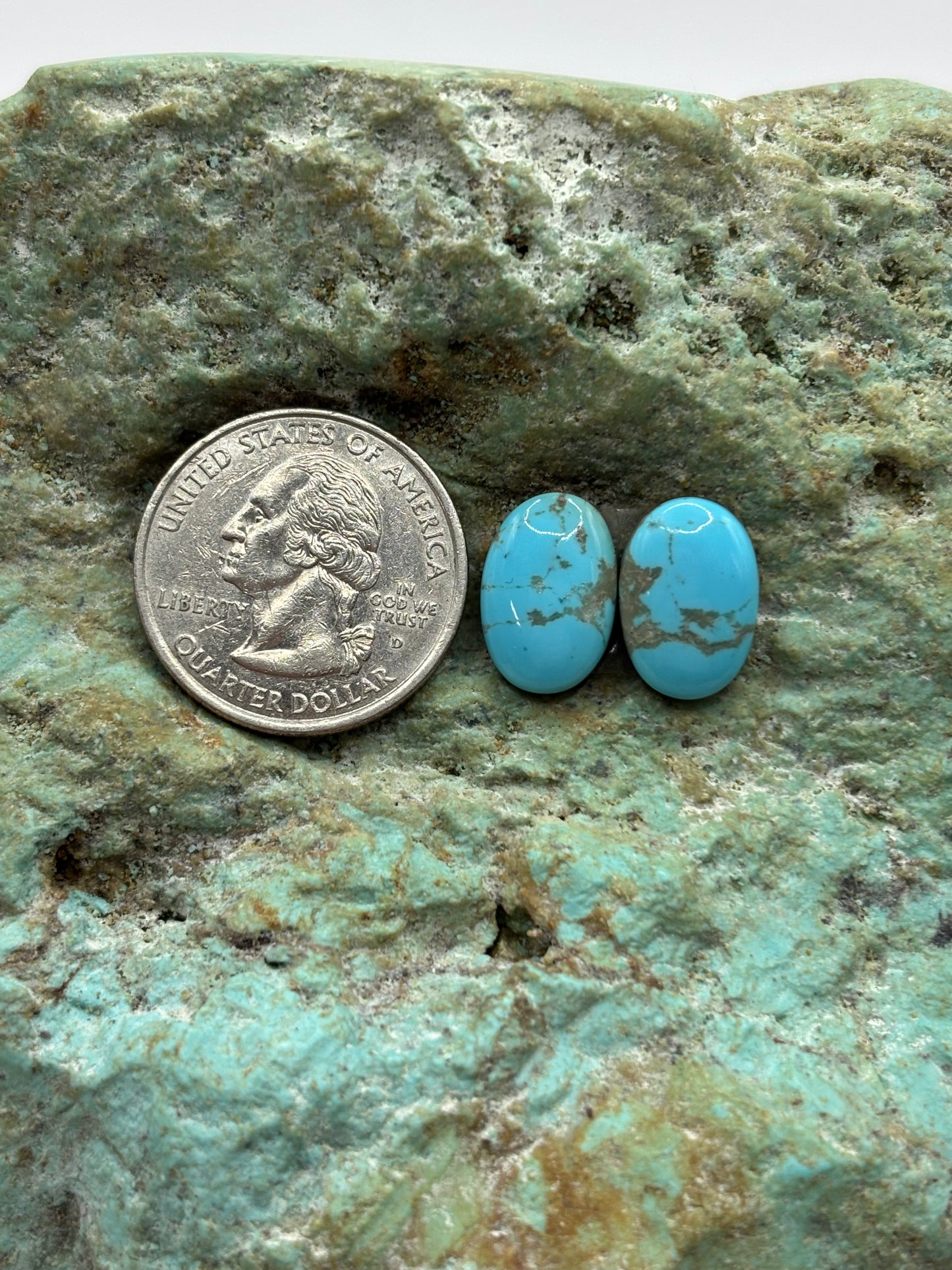 Earring Set 170