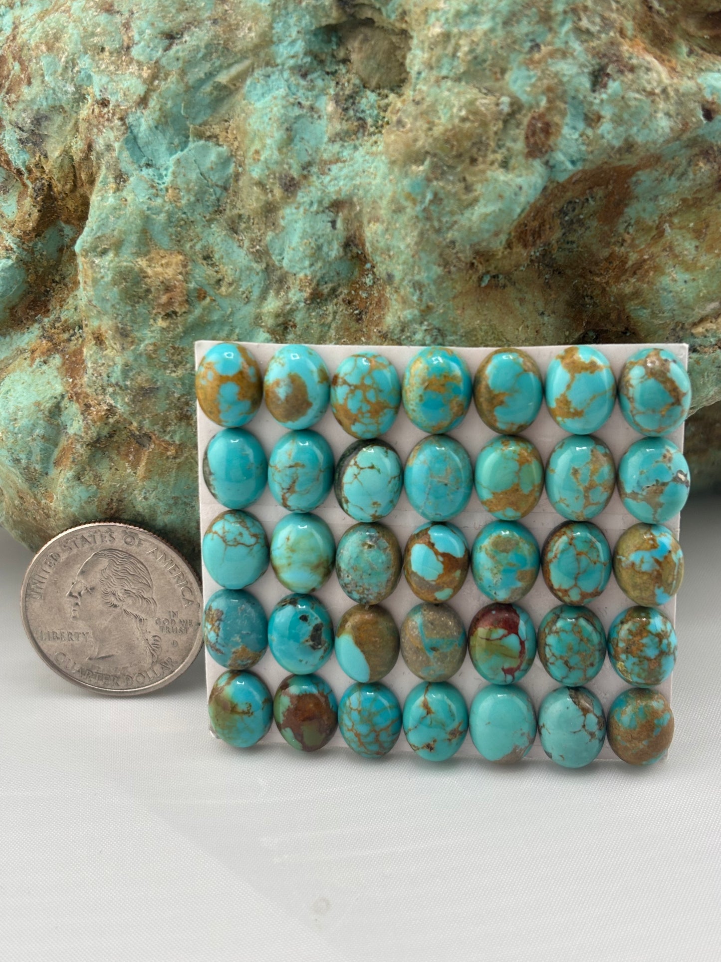 8x10 Oval Calibrated Cabs