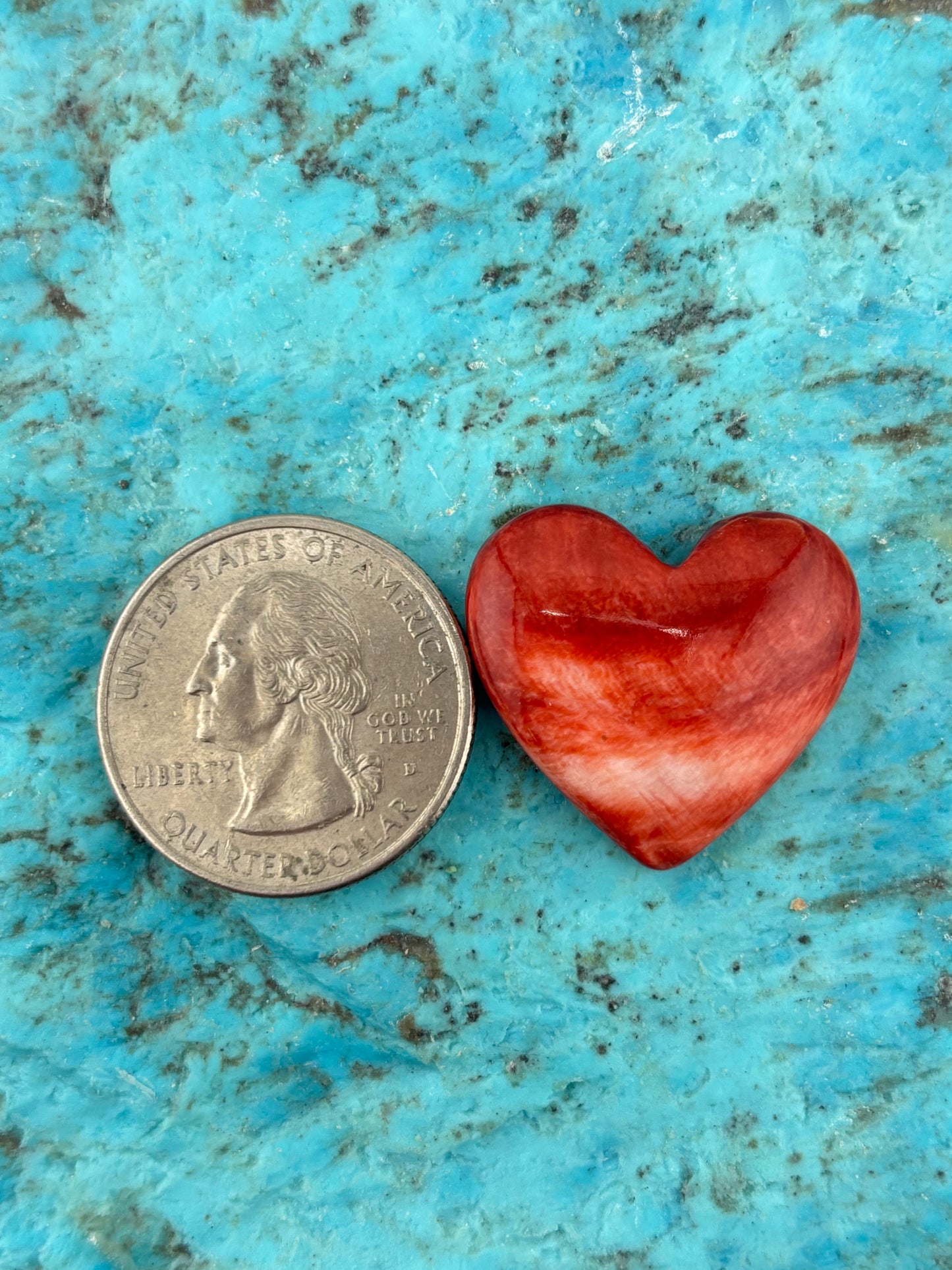 Red Spiny Heart 14