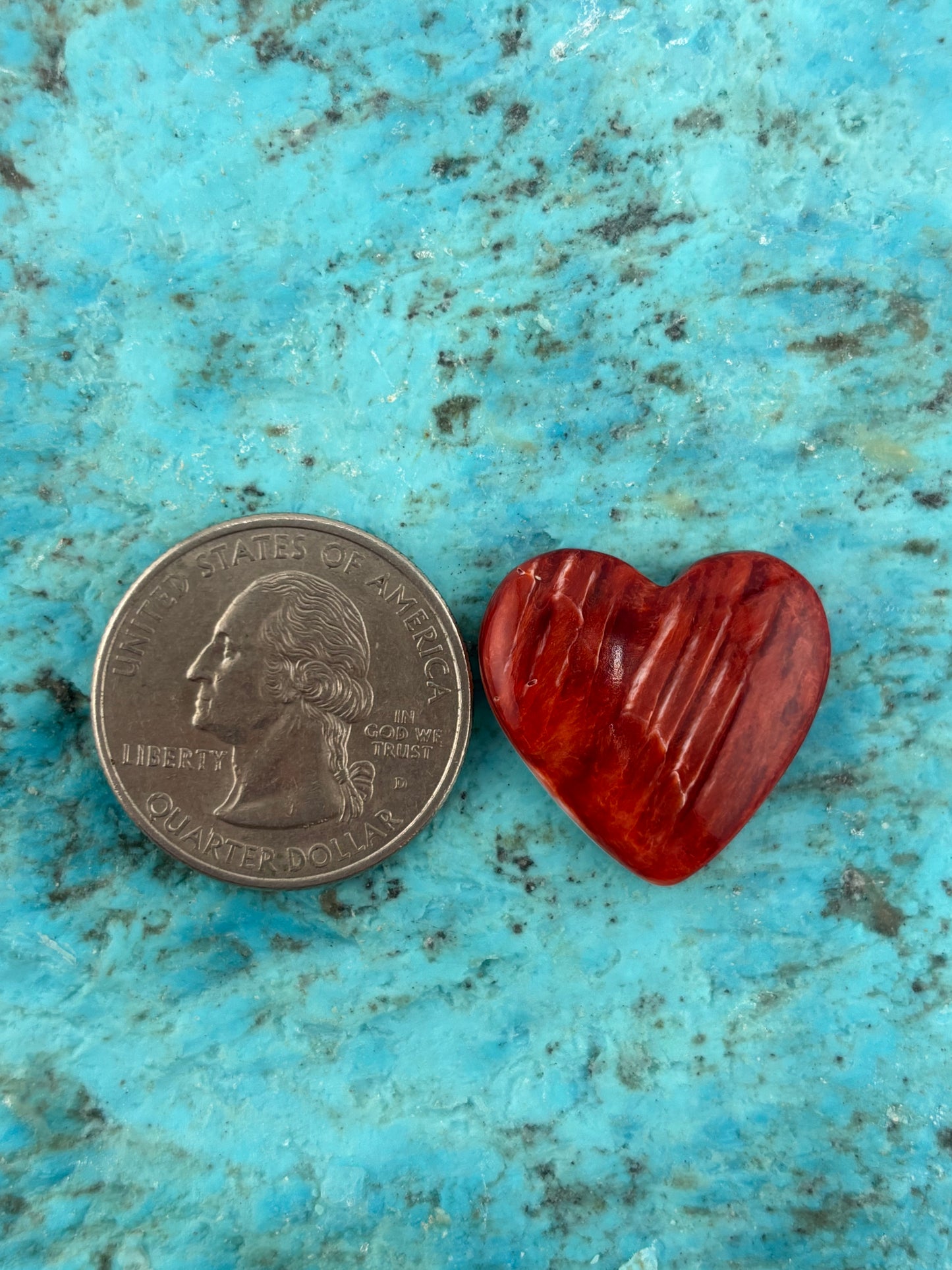 Red Spiny Heart 1