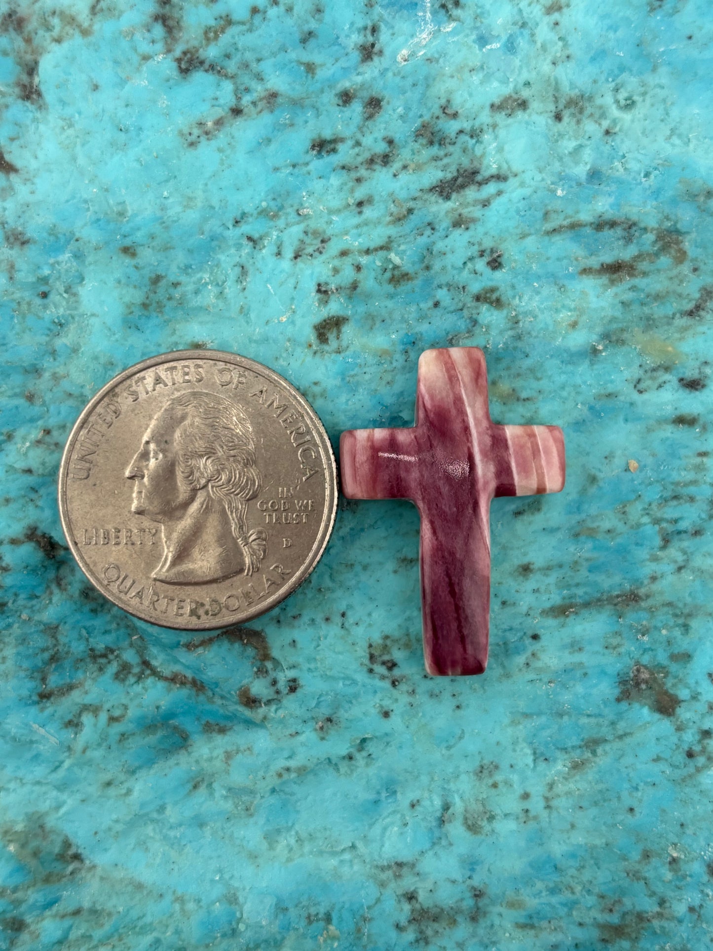 Purple Spiny Cross 1