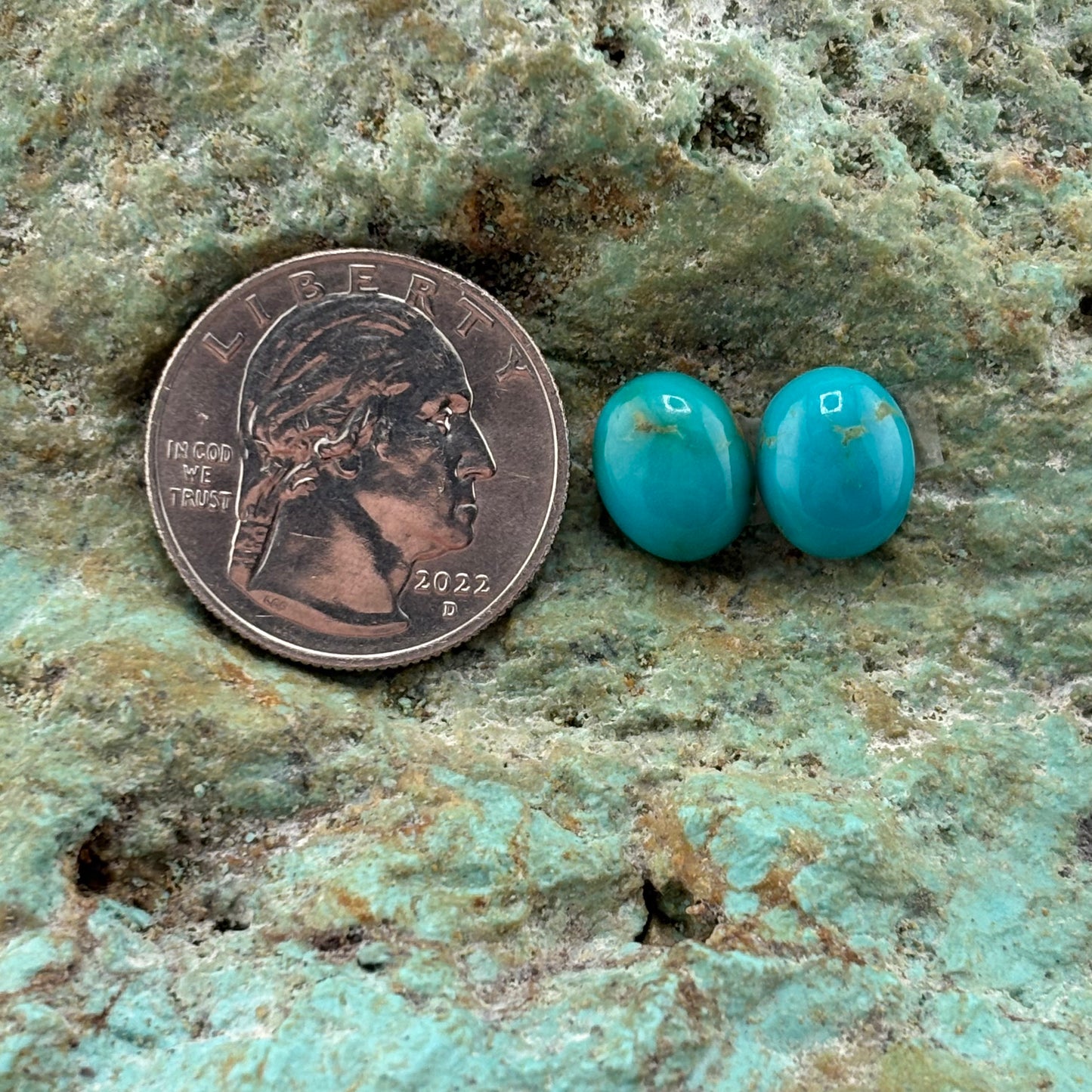 Earring Set 207