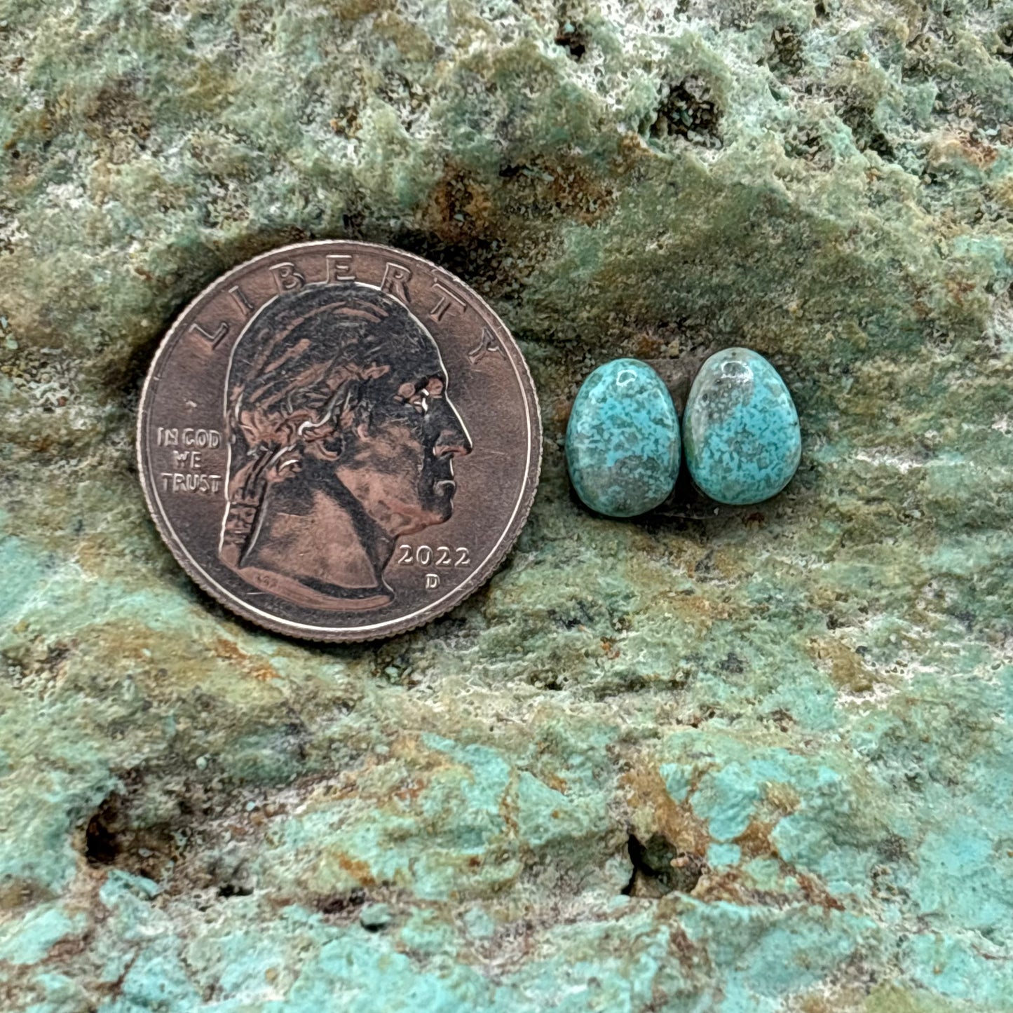 Earring Set 224