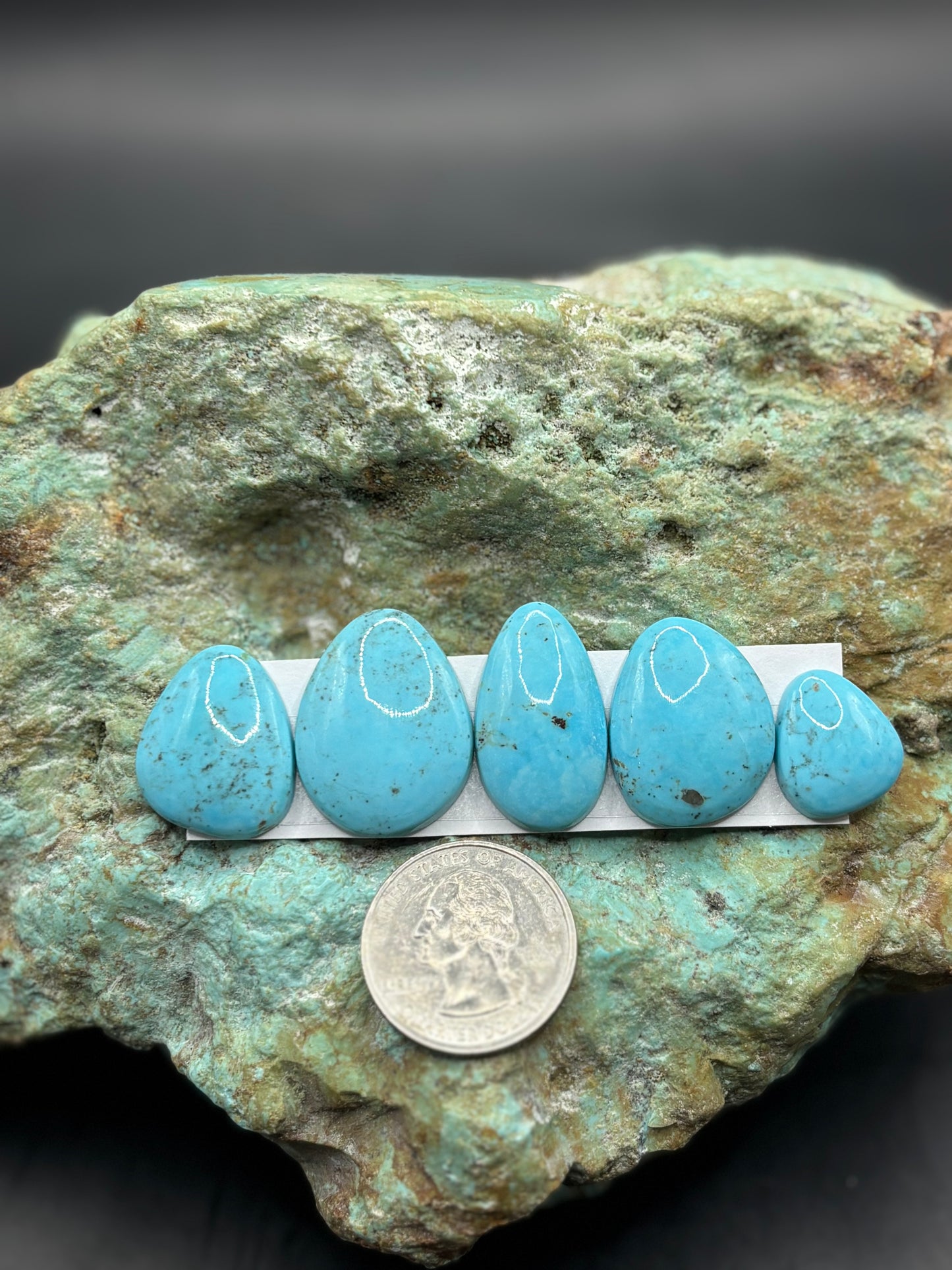 Freeform Cabochons 229