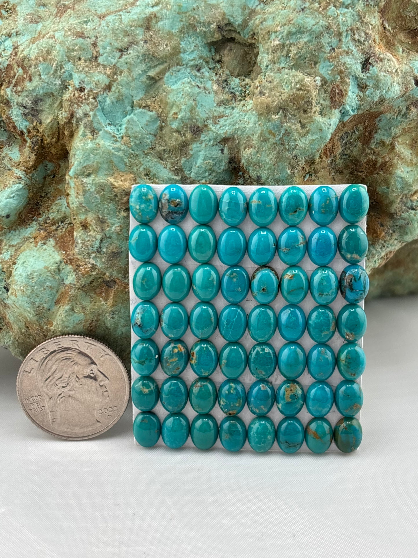6x8 Oval Calibrated Cabs