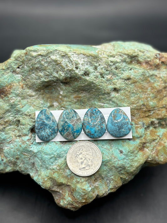 Freeform Cabochons 261