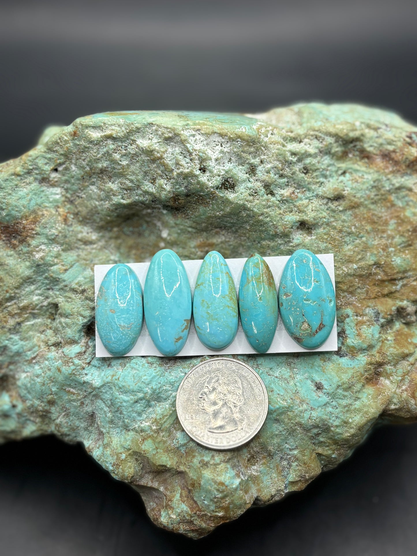 Freeform Cabochons 265