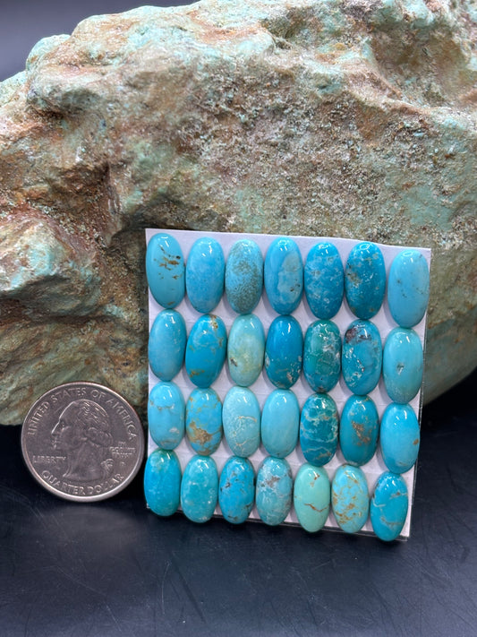 7x14 Oval Calibrated Cabs