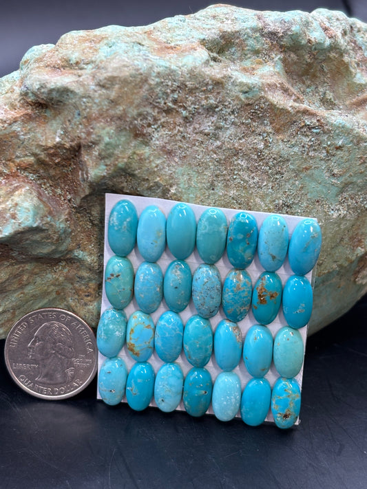 7x14 Oval Calibrated Cabs