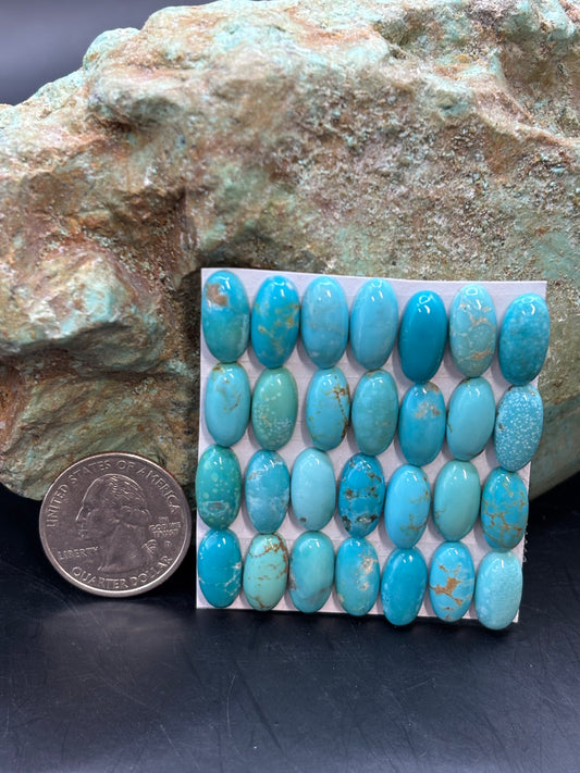 7x14 Oval Calibrated Cabs