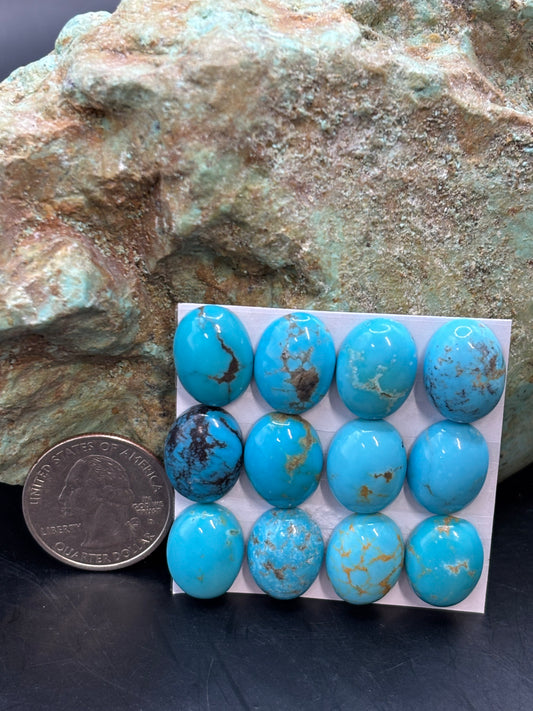 12x16 Oval Calibrated Cabs