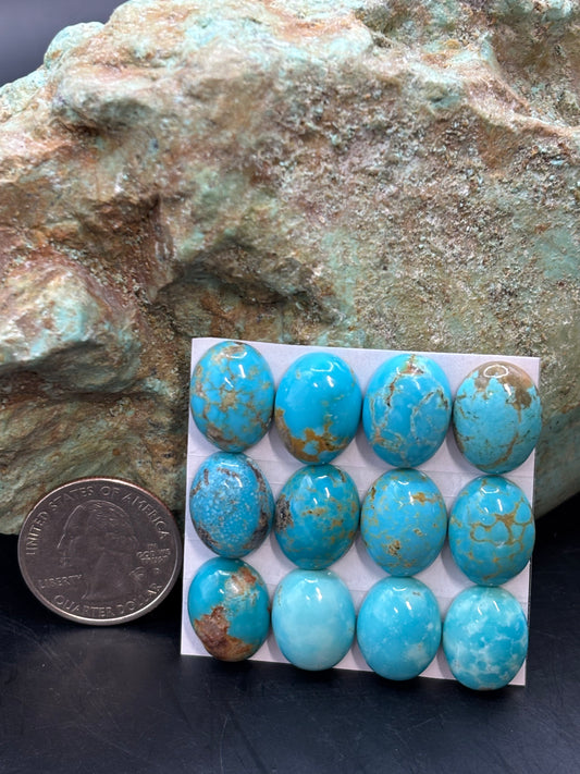 12x16 Oval Calibrated Cabs