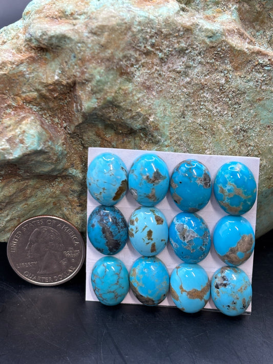 12x16 Oval Calibrated Cabs