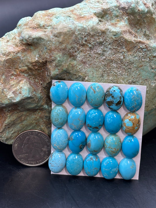 10x14 Oval Calibrated Cabs