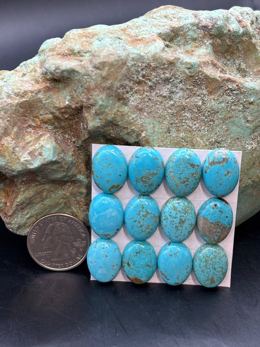 13x18 Oval Calibrated Cabs