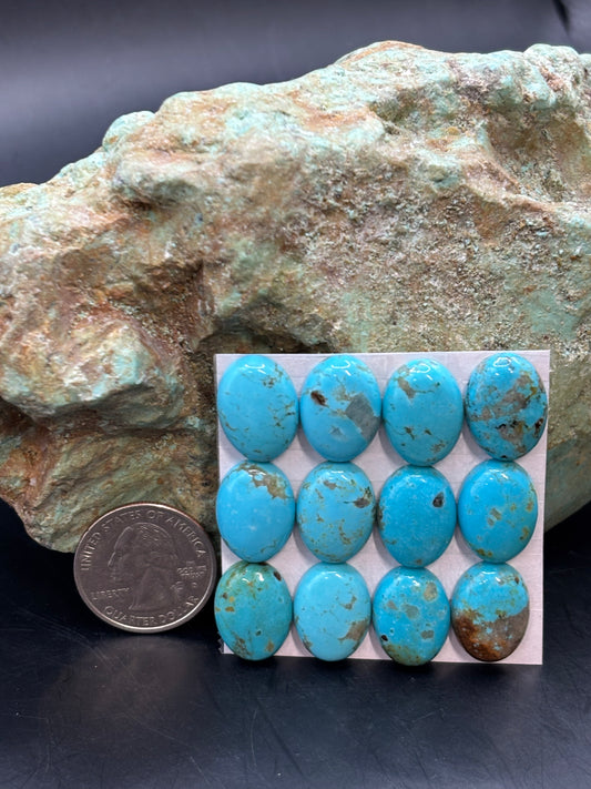 13x18 Oval Calibrated Cabs