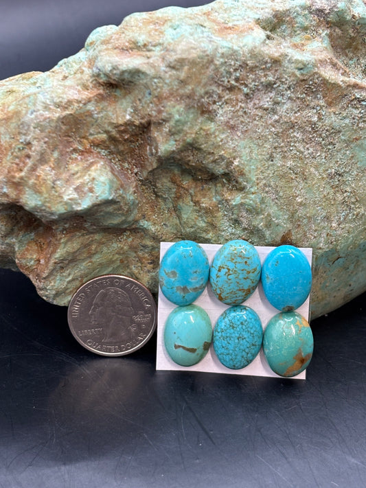 13x18 Oval Calibrated Cabs