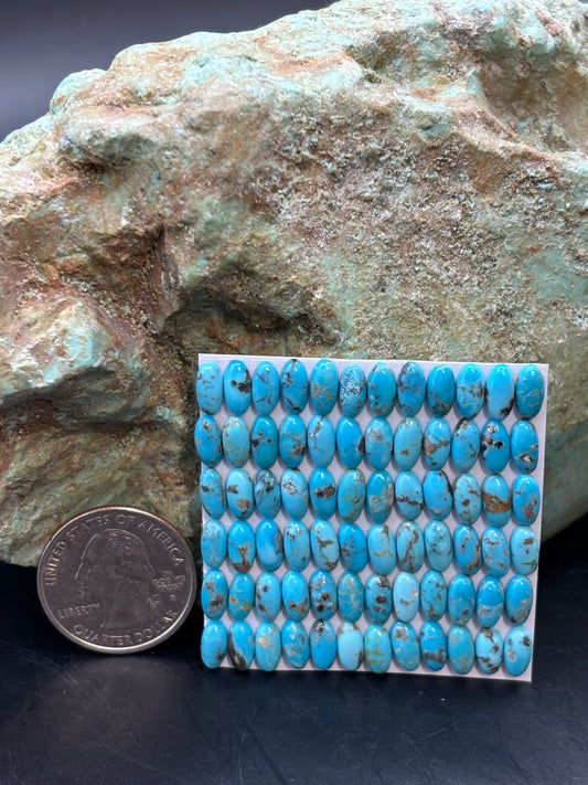 4x8 Oval Calibrated Cabs