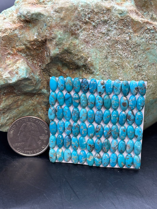 4x8 Oval Calibrated Cabs