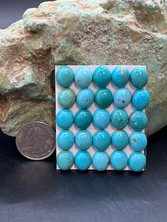 10x12 Oval Calibrated Cabs