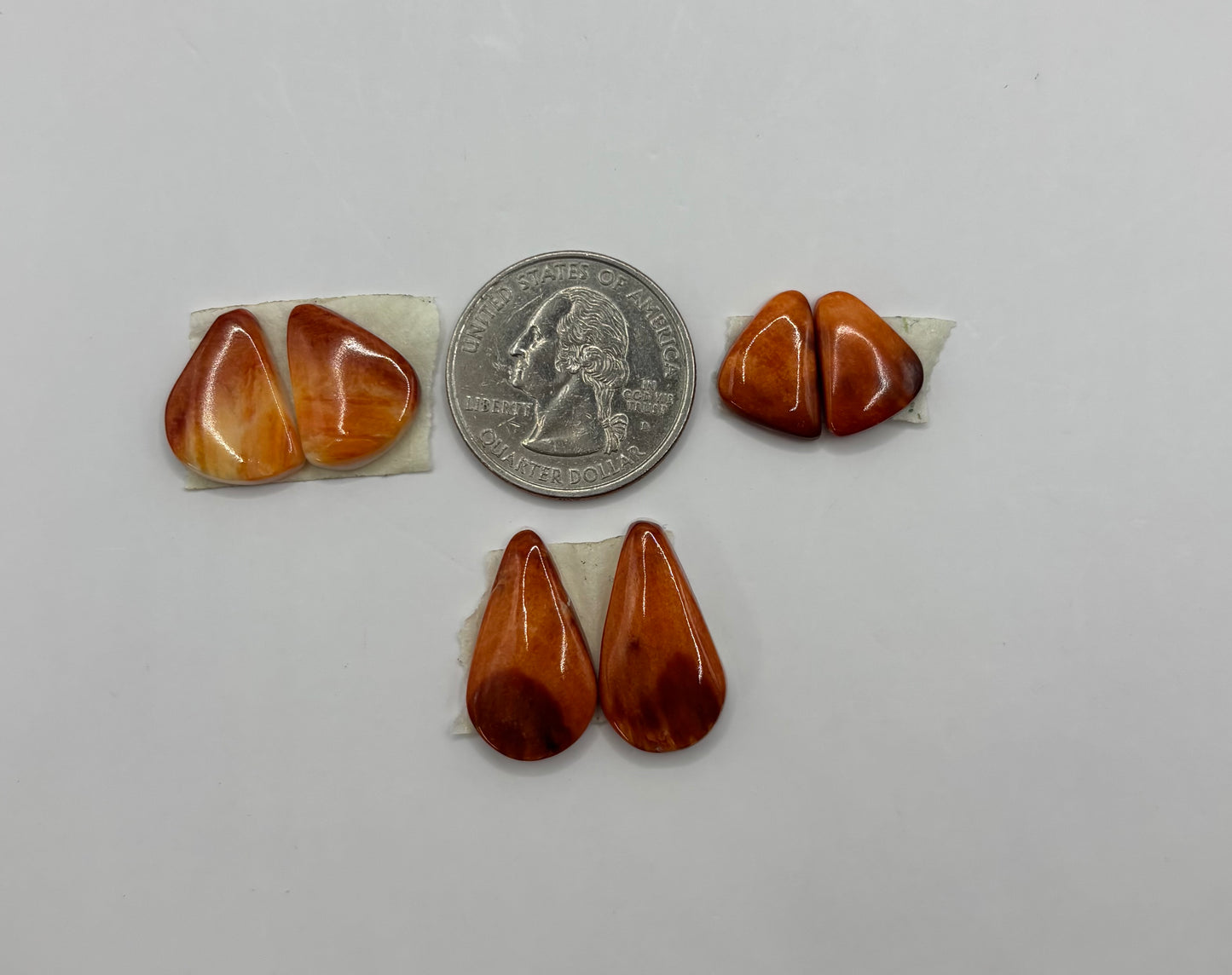 Orange Spiny Bargain Bag 1