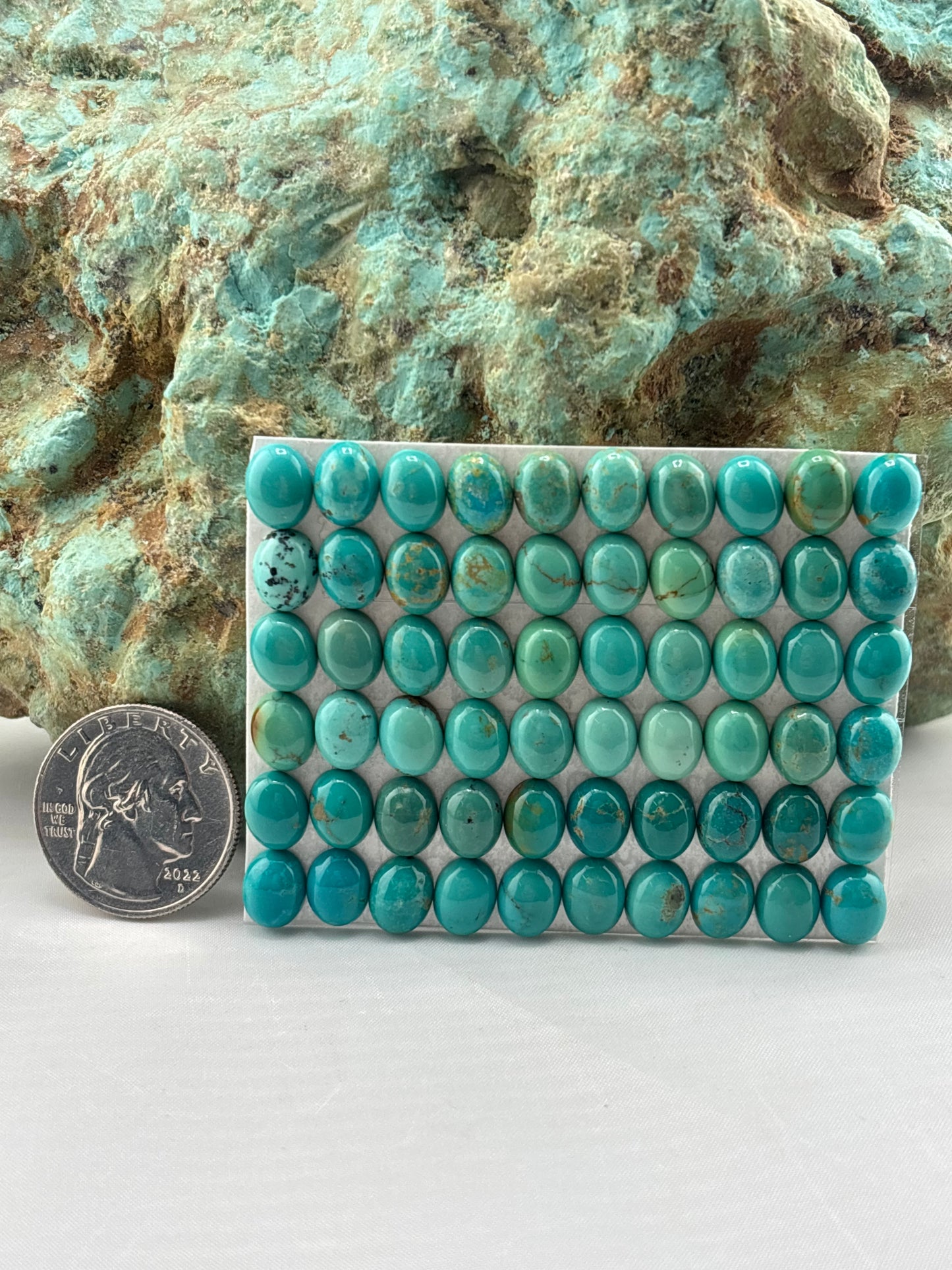 7x9 Oval Calibrated Cabs