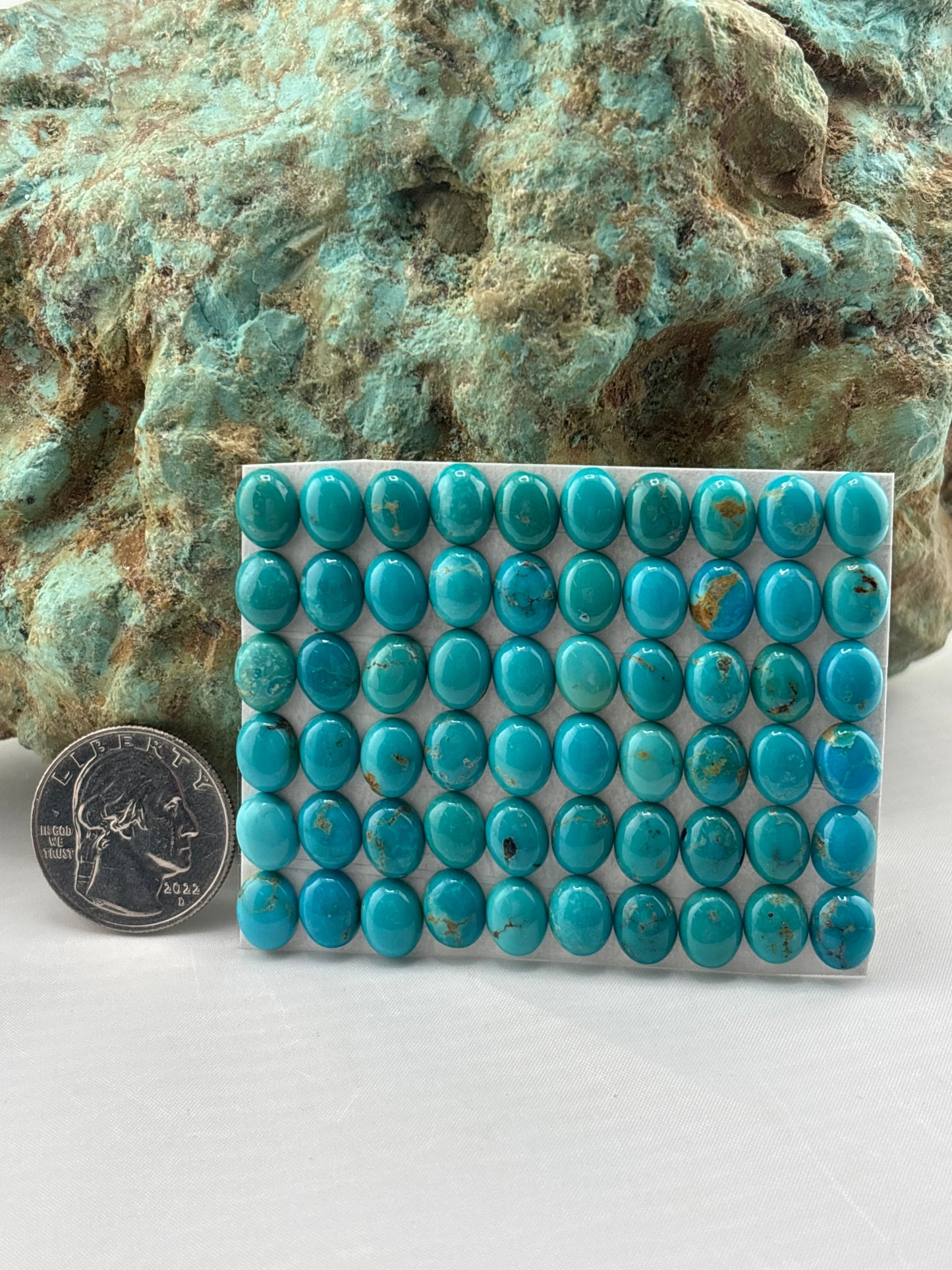 7x9 Oval Calibrated Cabs