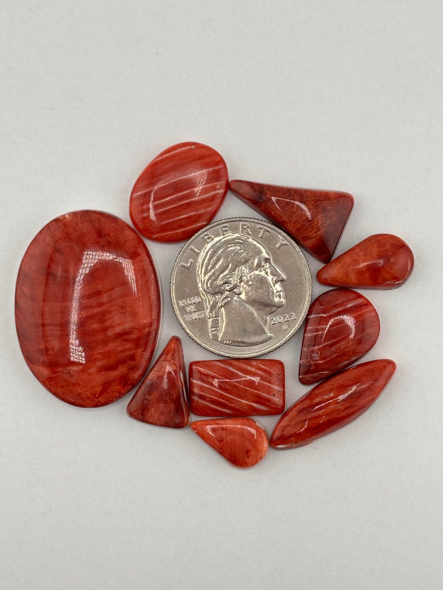 Red Spiny Oyster Bargain Bag 5