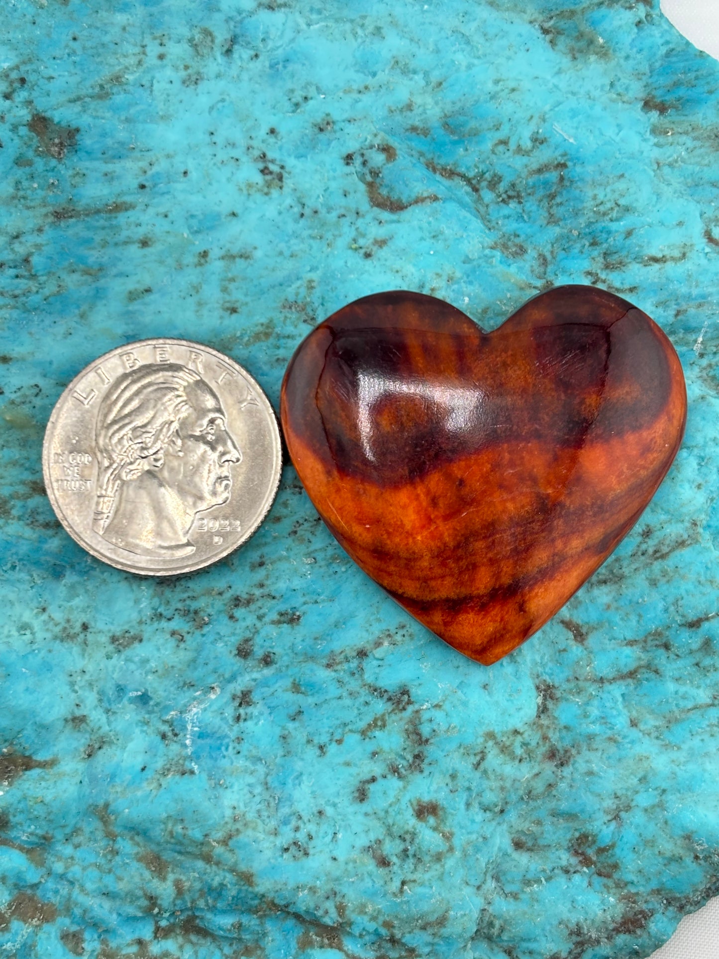 Orange Spiny Heart 23