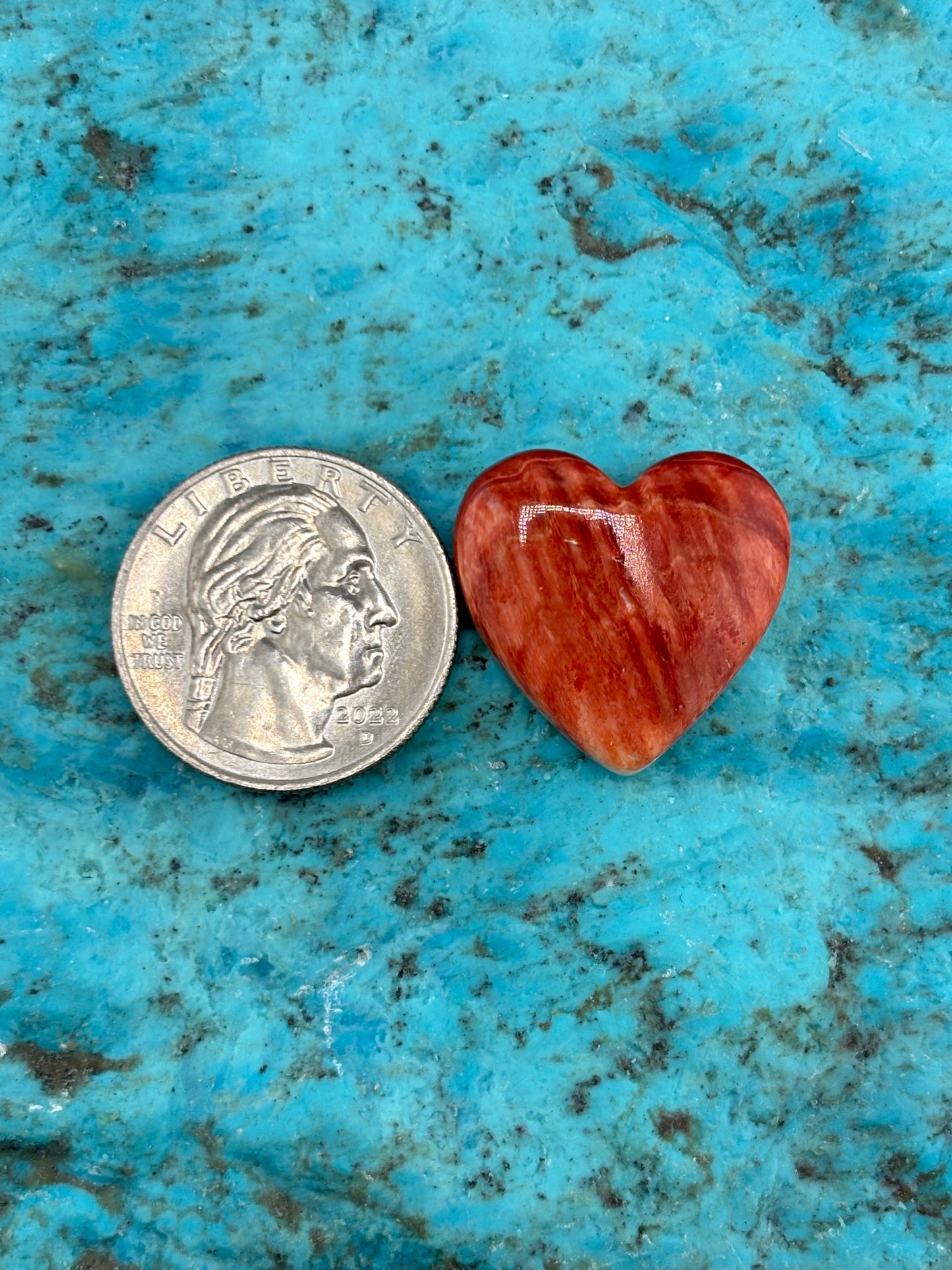 Red Spiny Heart 21