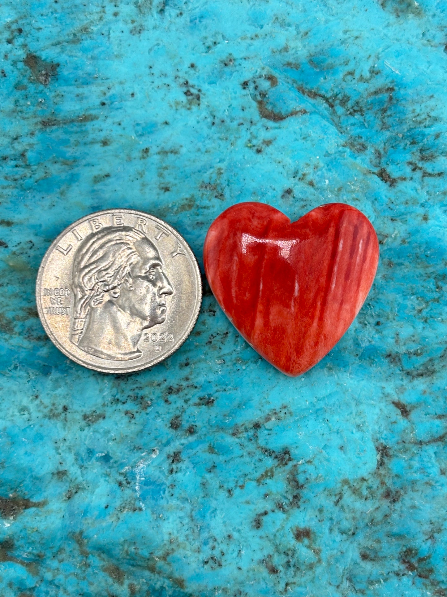 Red Spiny Heart 20