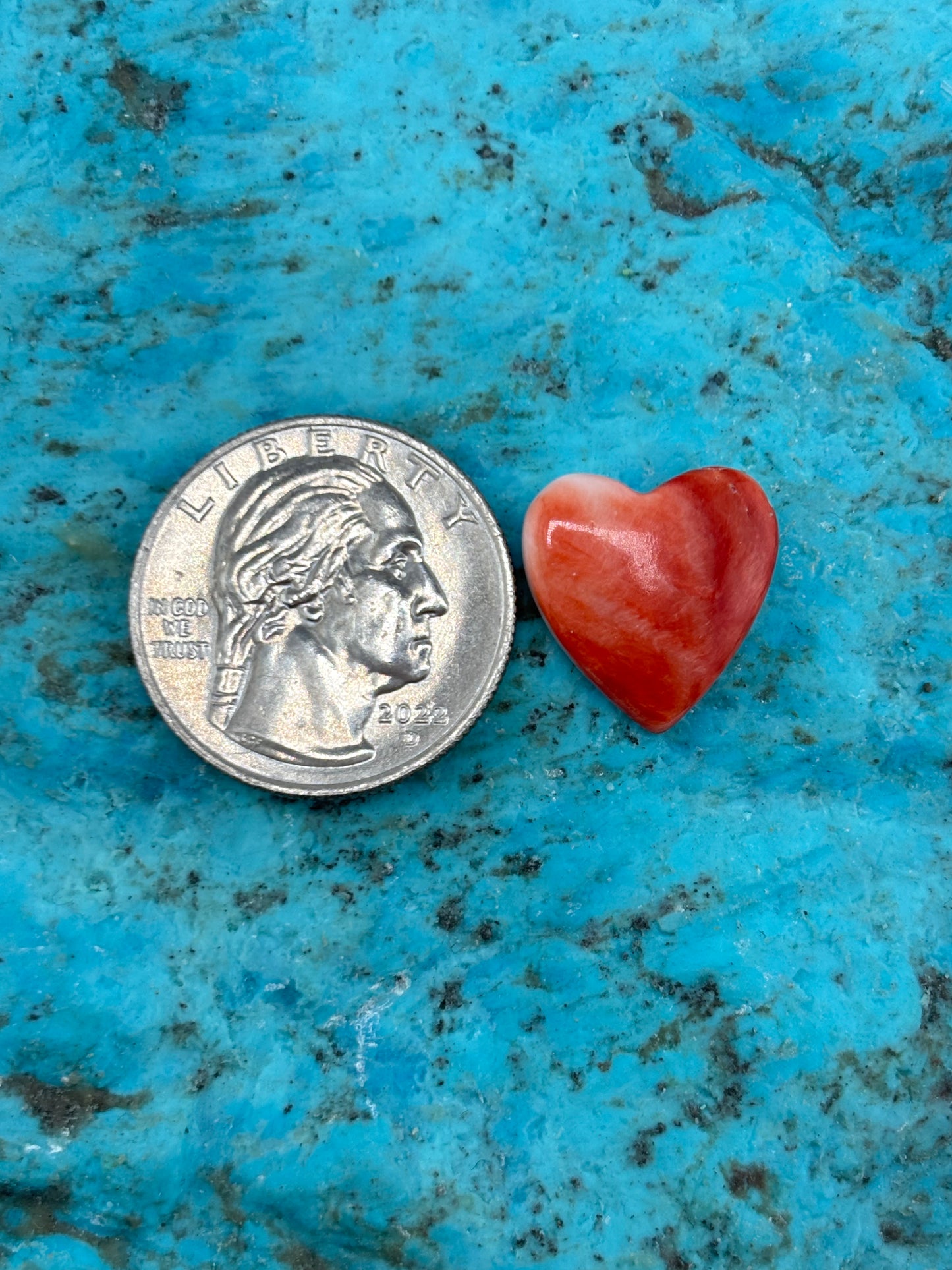 Red Spiny Heart 24