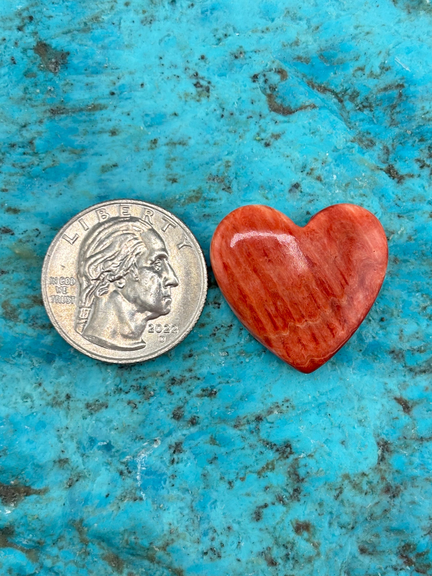 Red Spiny Heart 26