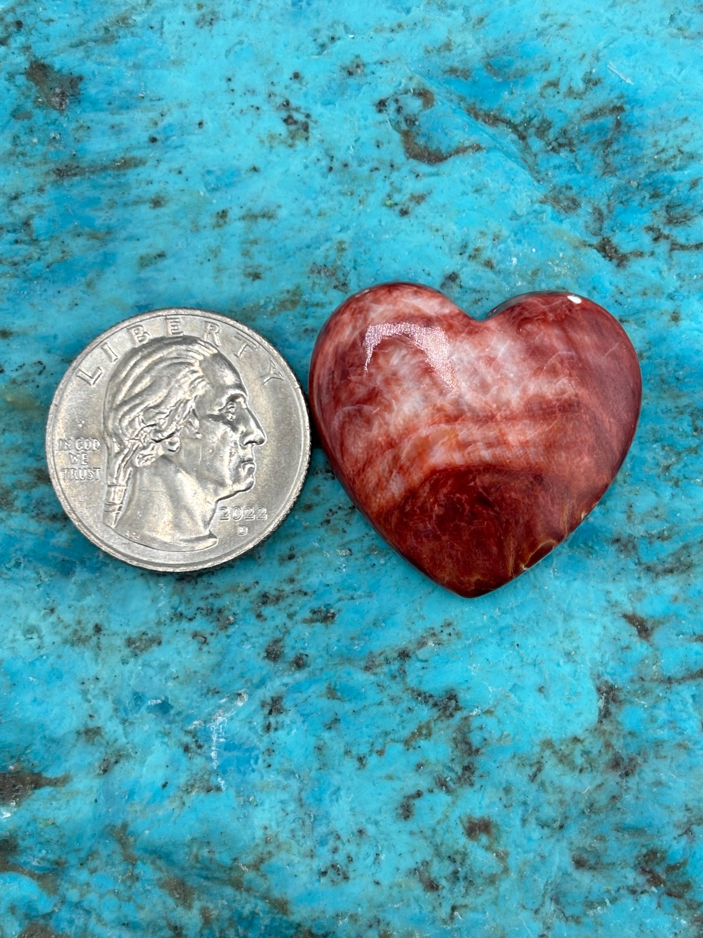 Red Spiny Heart 30