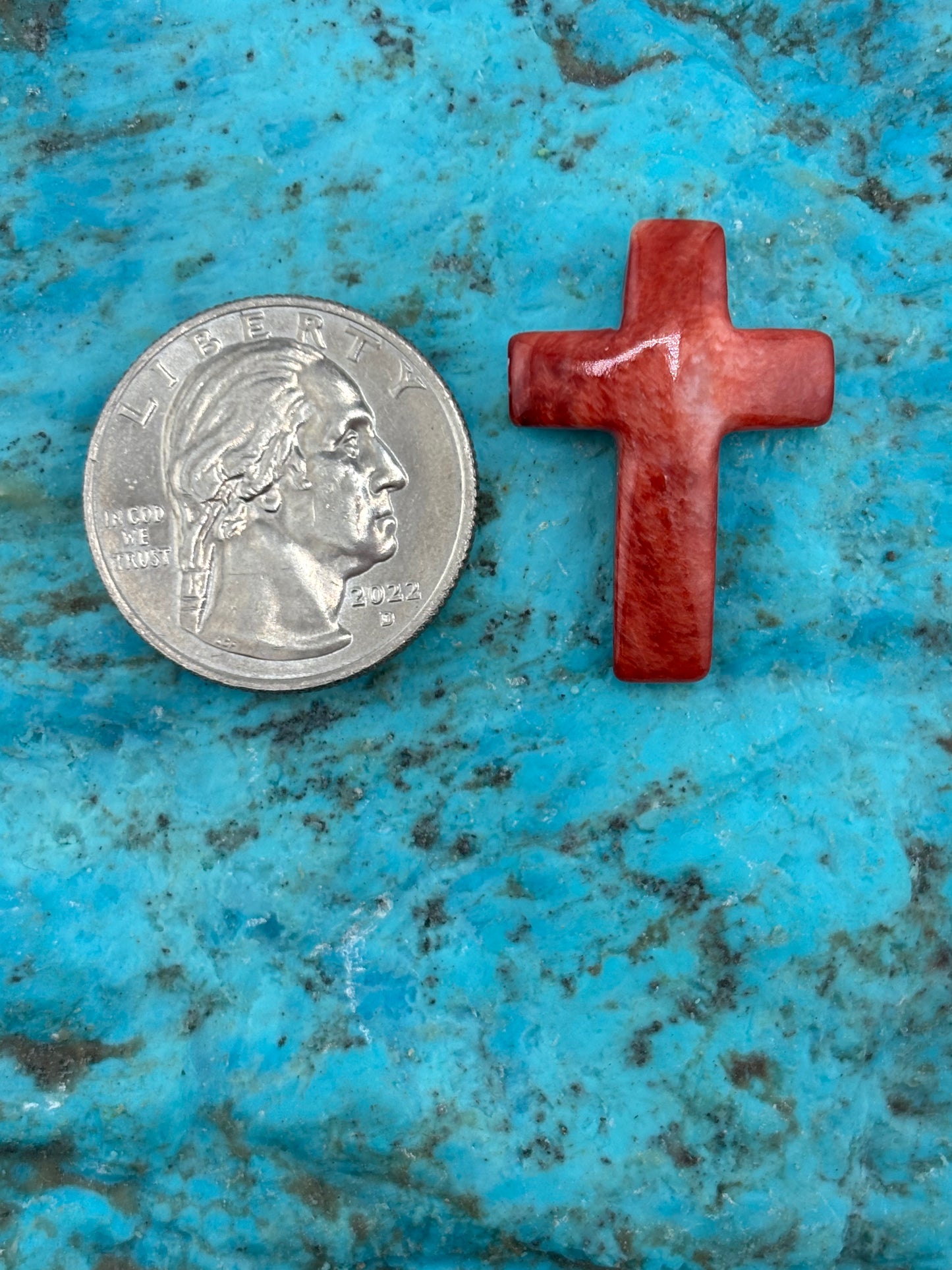 Red Spiny Cross 23