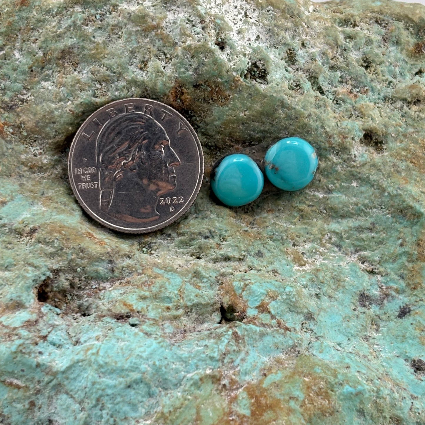 Earring Set 310