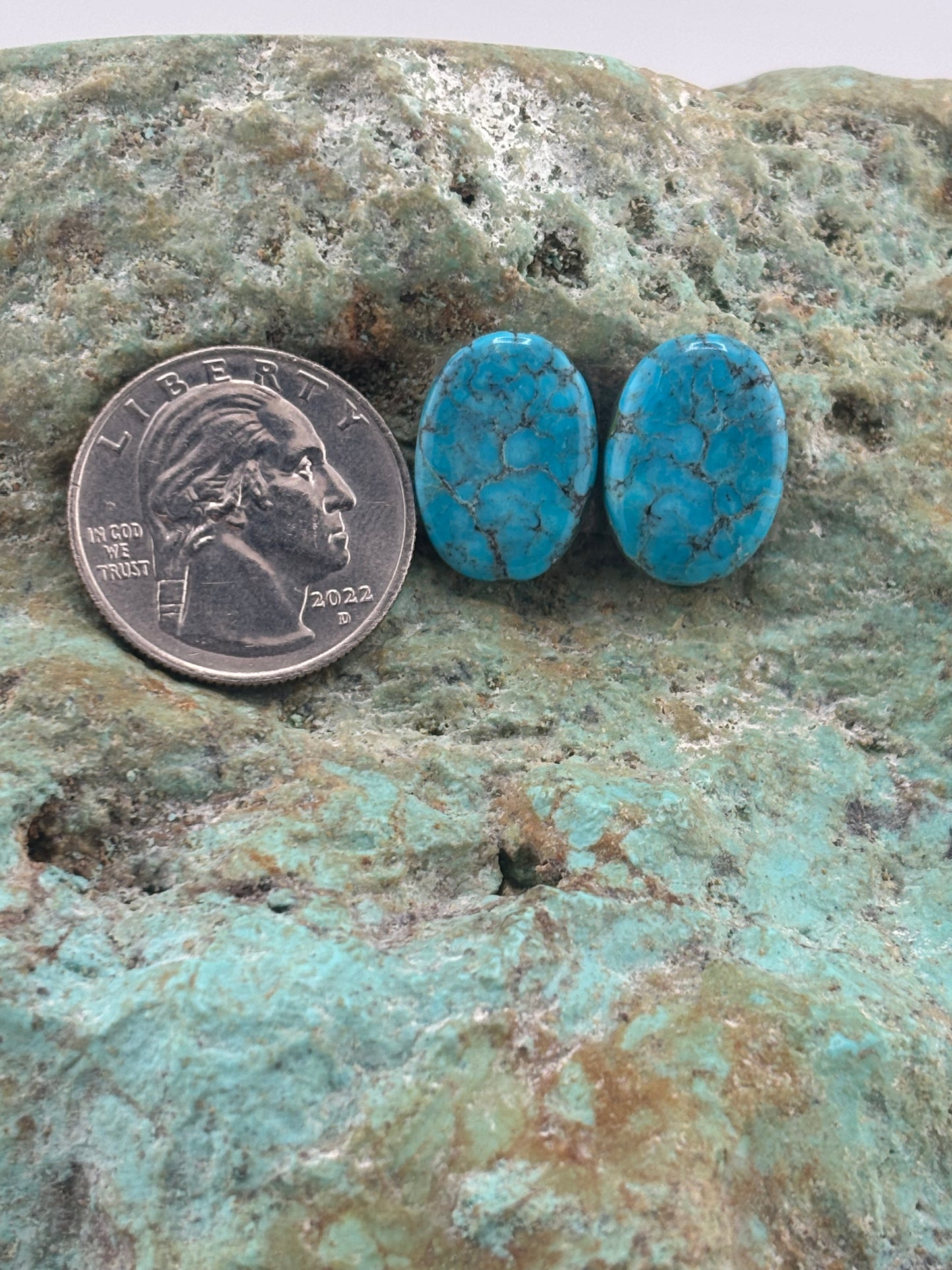 Earring Set 233