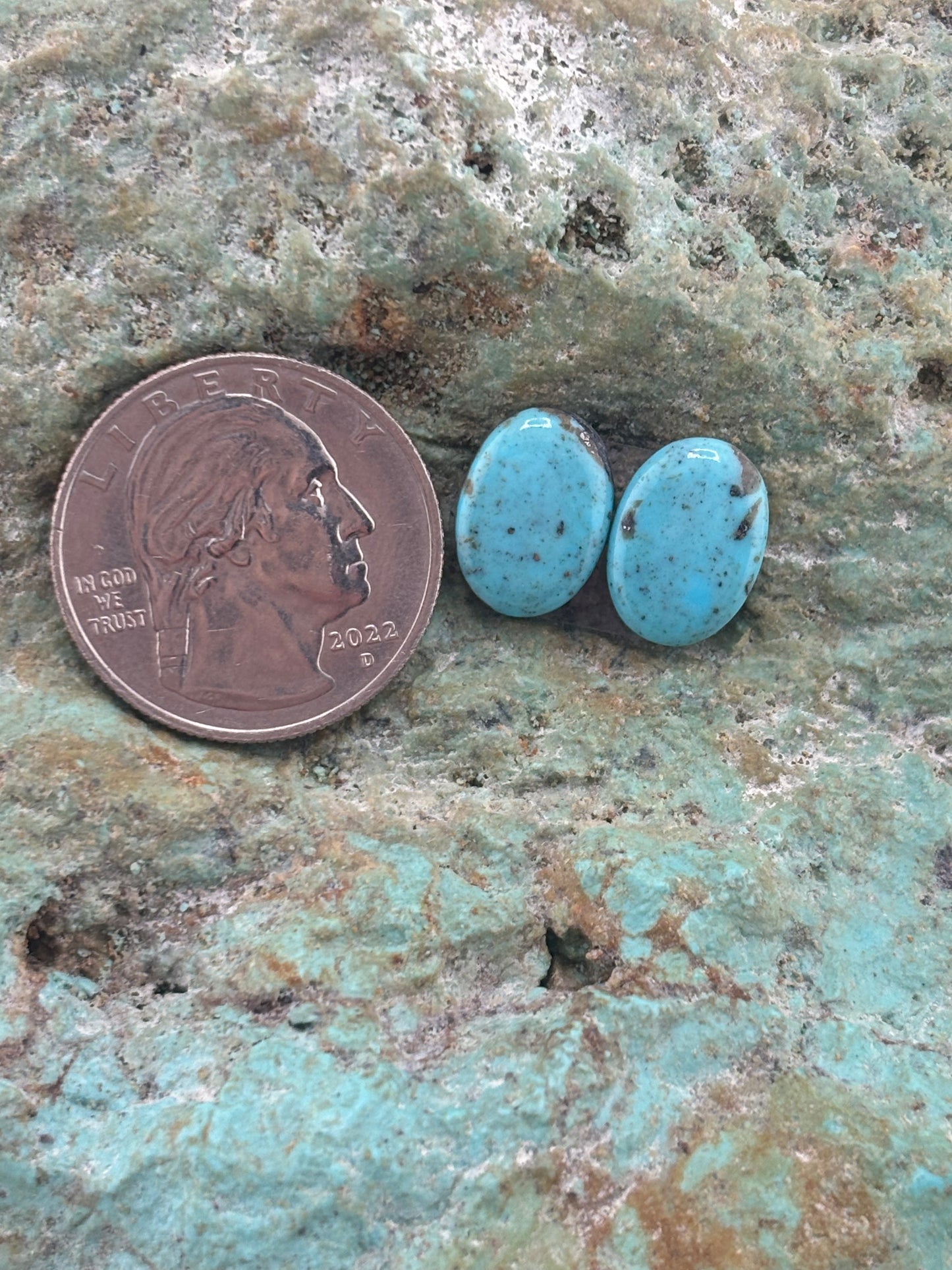 Earring Set 237