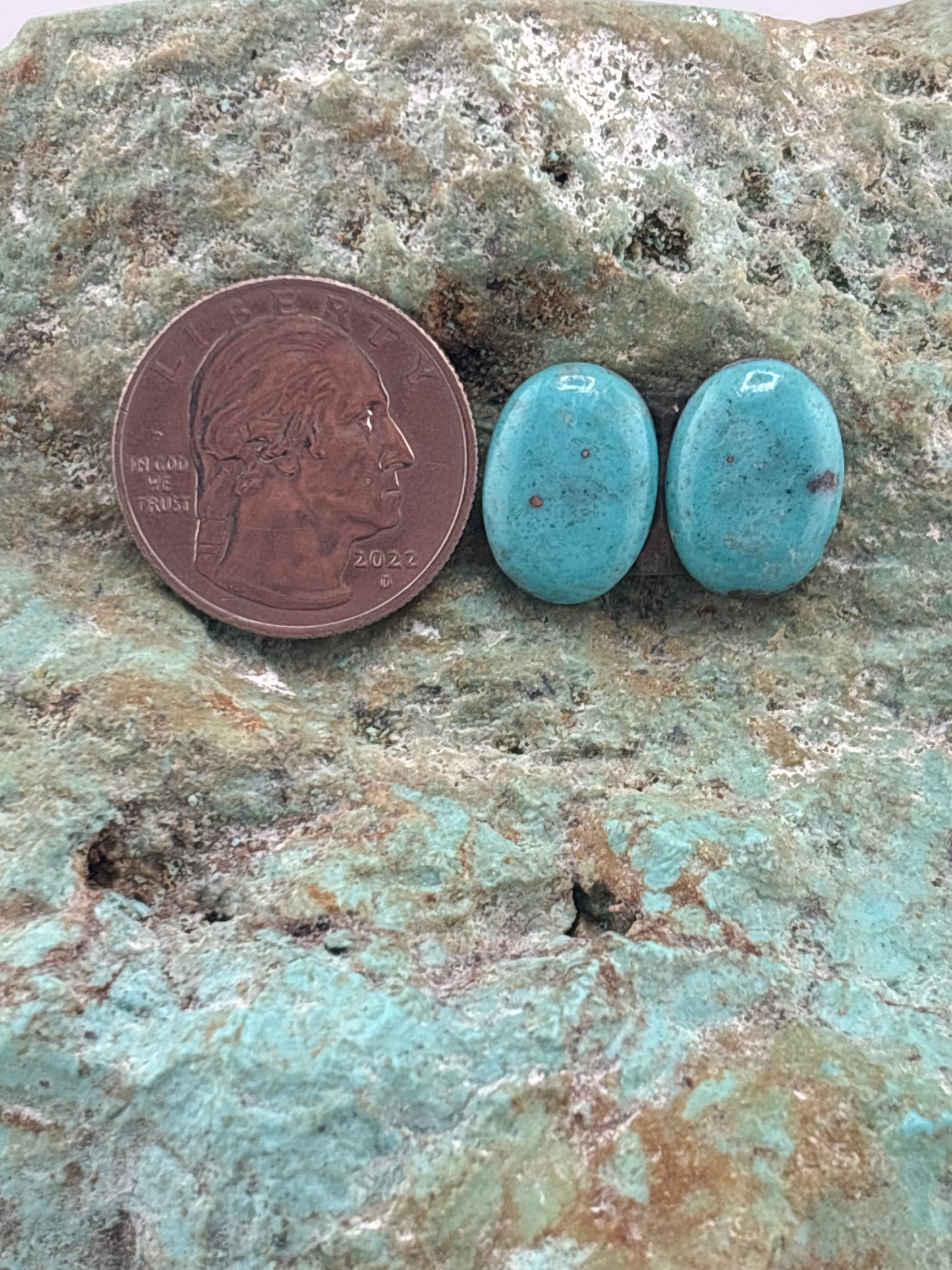 Earring Set 246