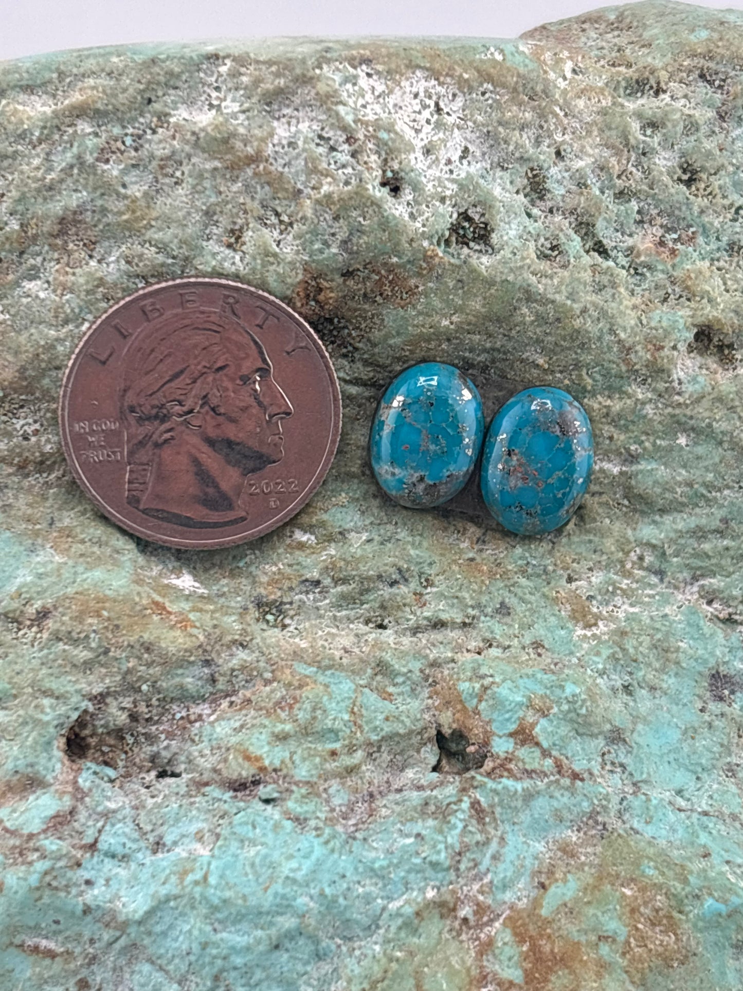 Earring Set 256